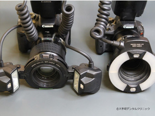 ��蒬�̎��Ȃ̌��o���J����